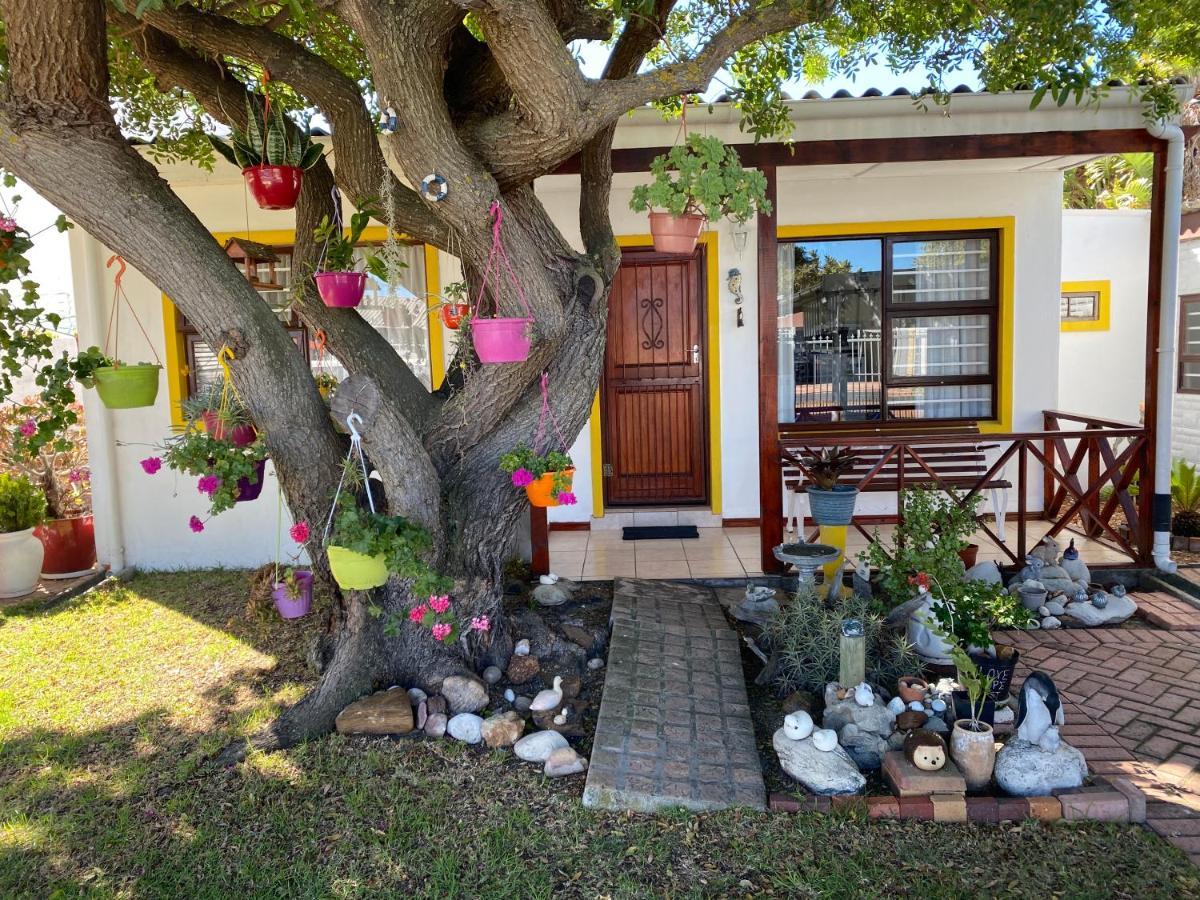 Hermanus 60 On Flat Extérieur photo