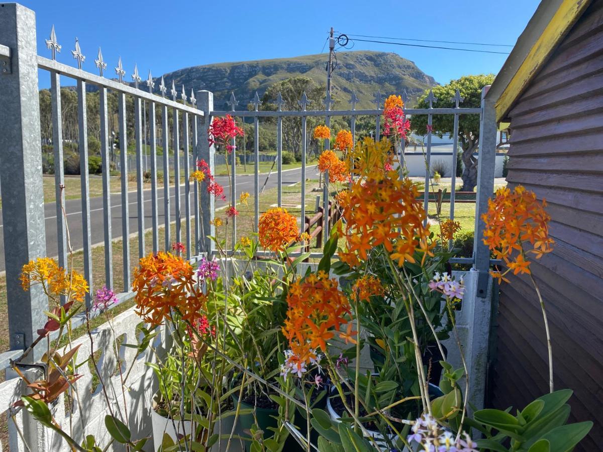 Hermanus 60 On Flat Extérieur photo